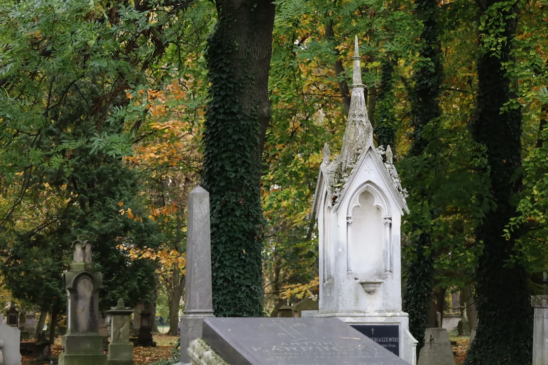 Stary Cmentarz w Rzeszowie Jesień 2025