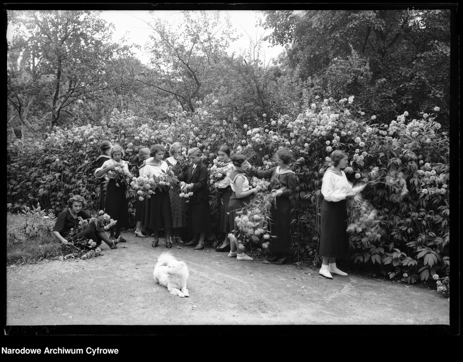 Jesienne krajobrazy na archiwalnych fotografiach [ZDJĄCIA]