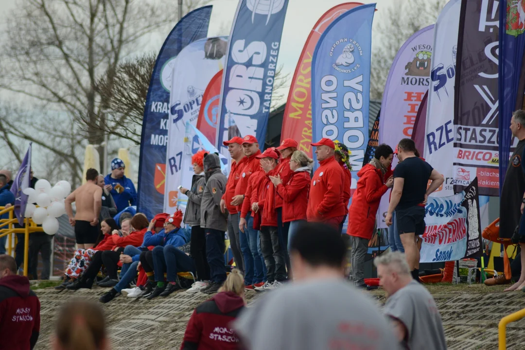 Zmagania Pływackie na Jeziorze Tarnobrzeskim i koniec sezonu dla morsów w Tarnobrzegu