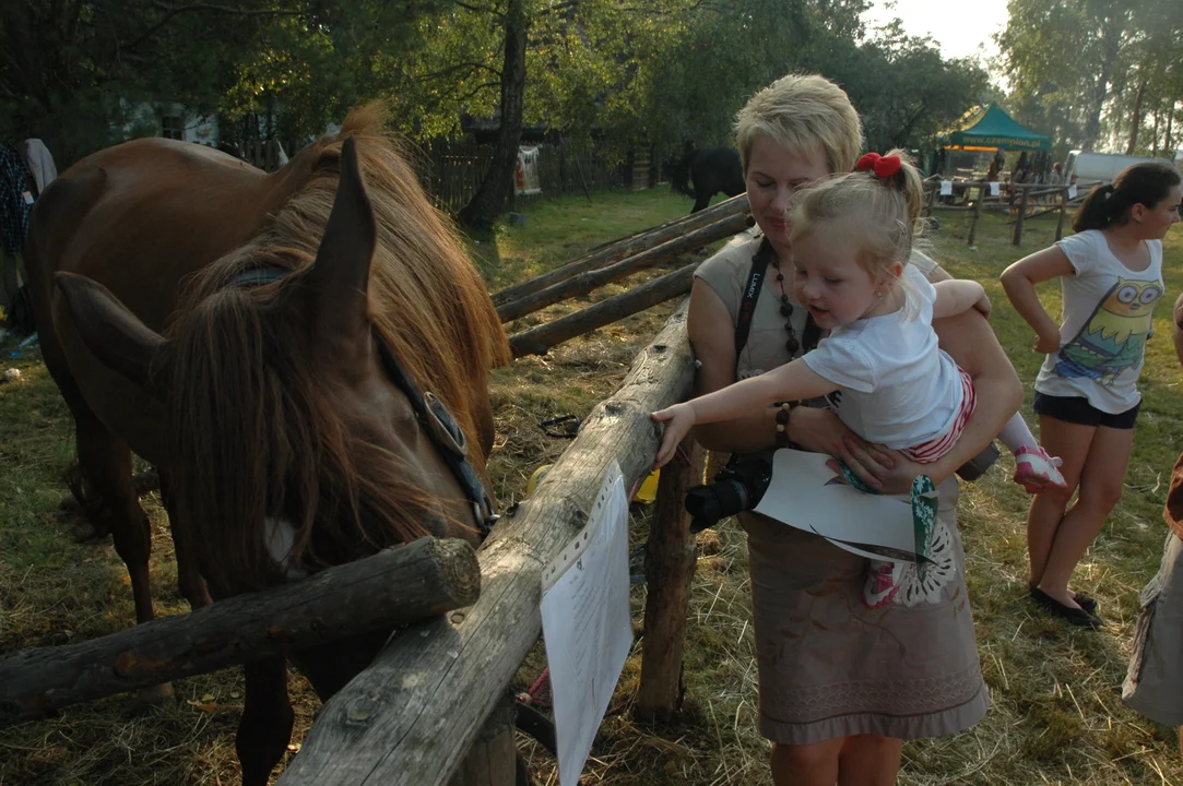 Koń, jaki jest.. - skansen w Kolbuszowej 2011