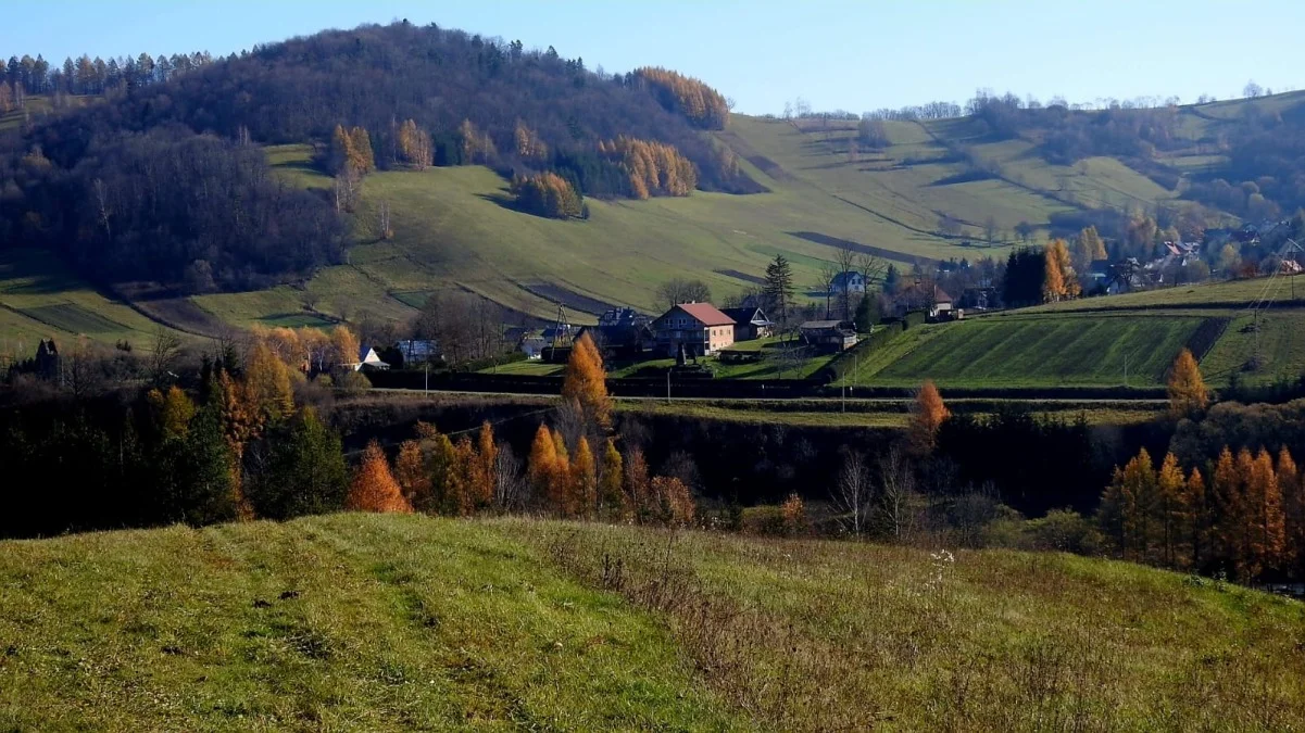 Terka późną jesienią