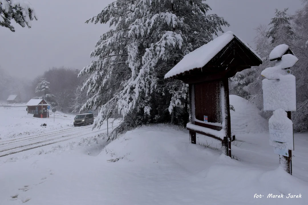 Warunki pogodowe w Bieszczadach - 19.01.2023