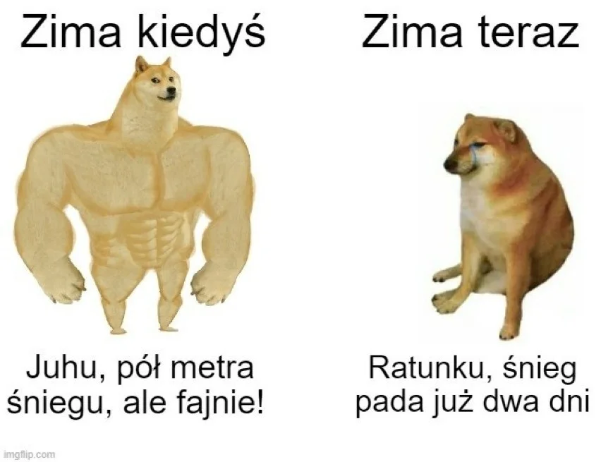 Memy na zimę