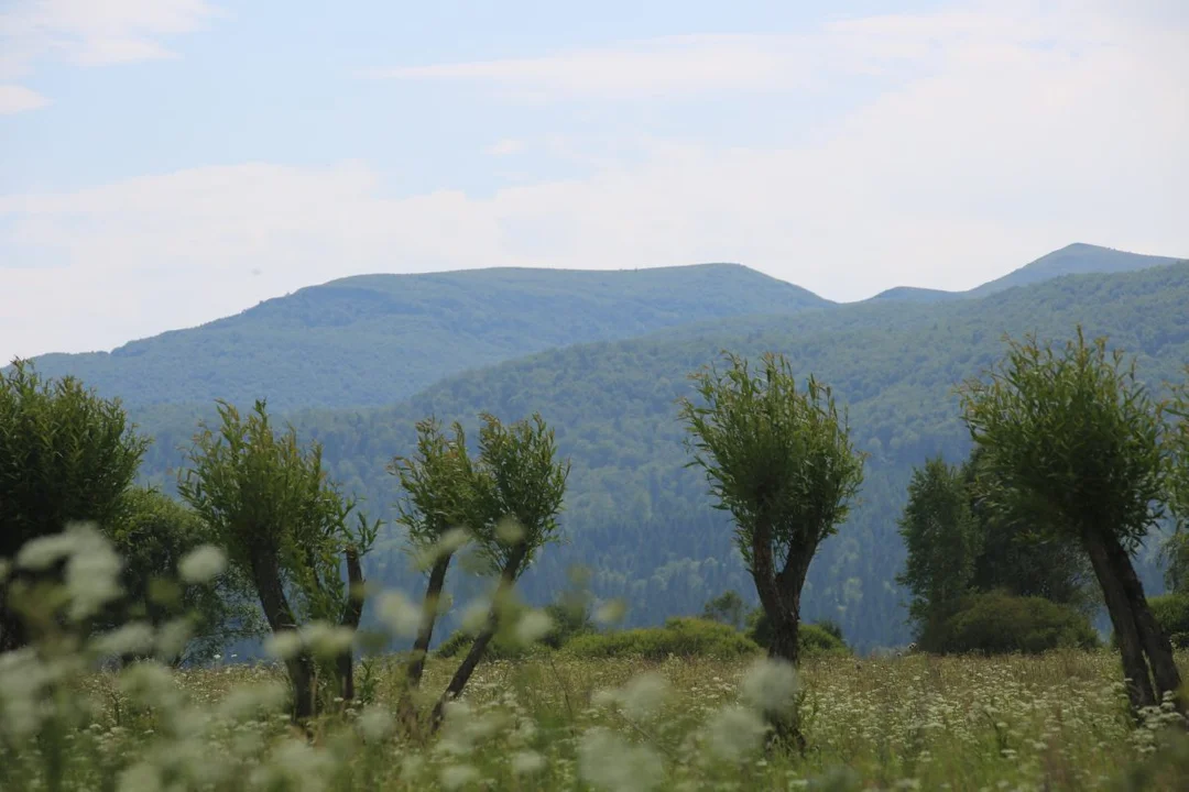 Tarnawa Niżna