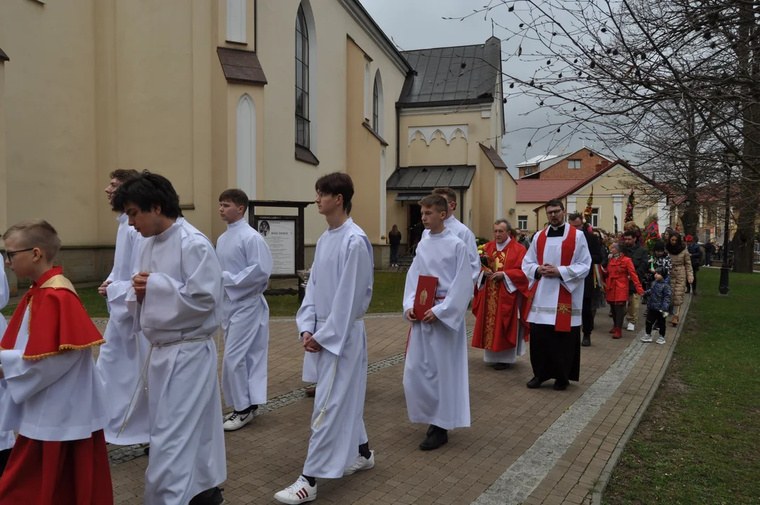 Parafianie w Przecławiu świętowali z pięknymi palmami własnego wykonania