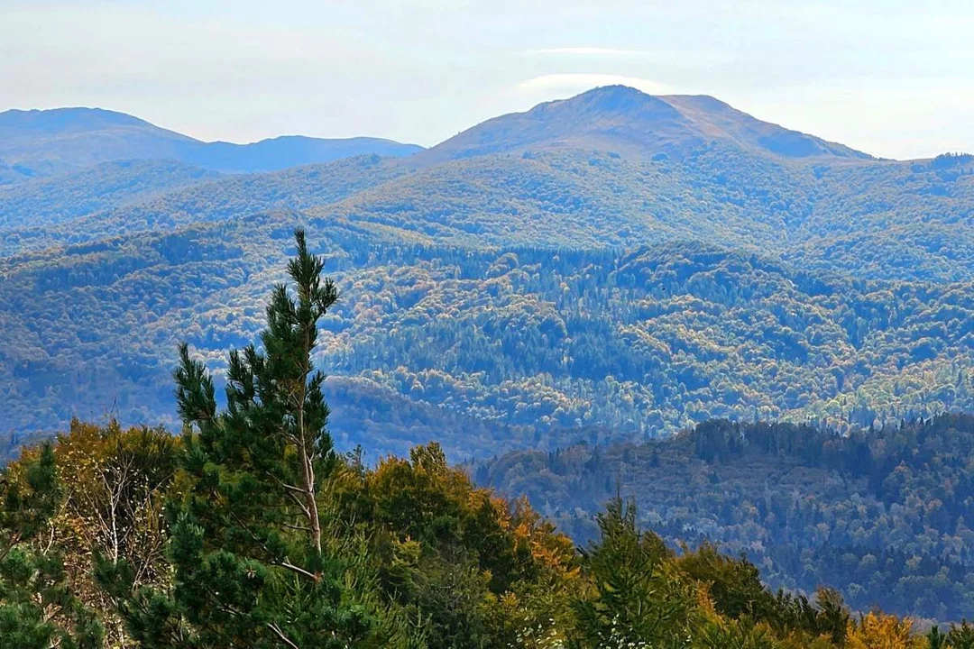 Panorama z wieży widokowej na Korbani