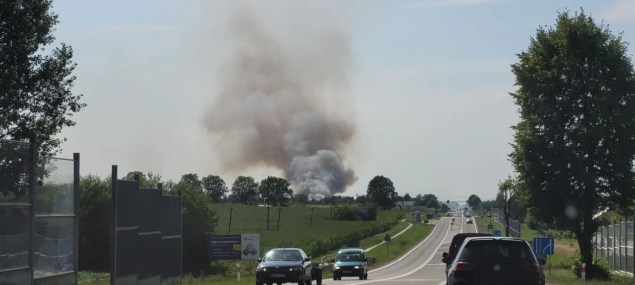 Pożar ścierniska w okolicach Rzeszowa [ZDJĘCIA]