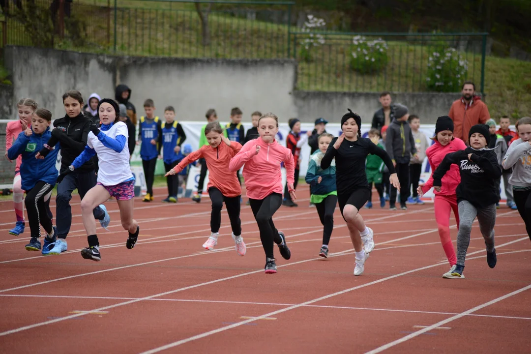 65. Otwarte Mistrzostwa Stalowej Woli w Lekkiej Atletyce