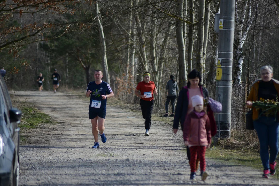 Sportowe Powitanie Wiosny w Gorzycach - bieg oraz nordic-walking