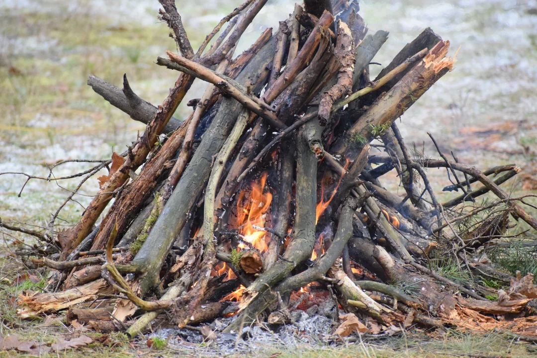 Love'LAS Jesień, a w lesie śnieg