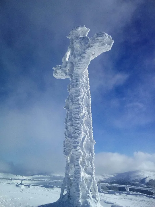 Krzyż na Tarnicy