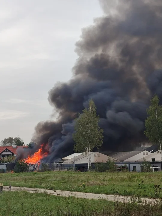 Policja ustala przyczyny pożaru hali magazynowej pod Rzeszowem