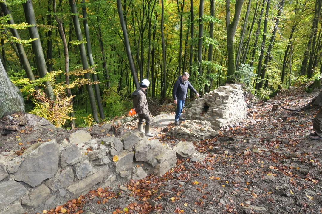 Zespół ds. Leśnego Dziedzictwa Kulturowego w Bieszczadach