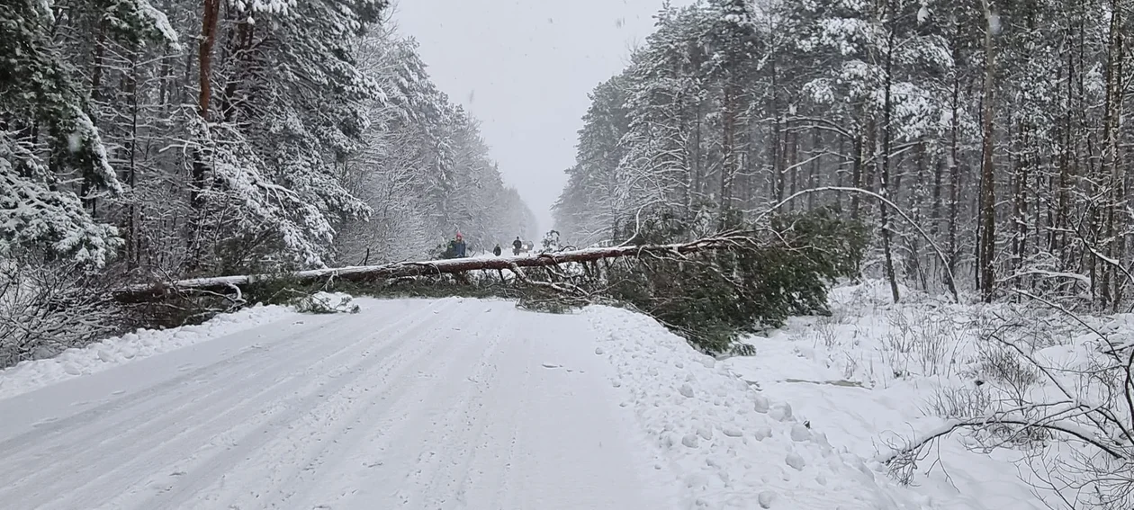 Atak zimy w powiecie kolbuszowskim. Interwencje strażaków - 11 i 12 grudnia 2022