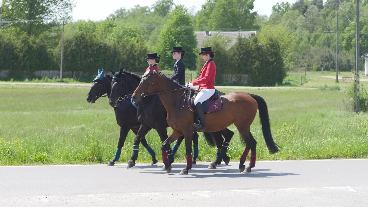 Parada Konna w Żarówce - cz. 1