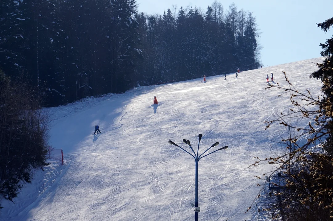 Gromadzyń w Ustrzykach Dolnych