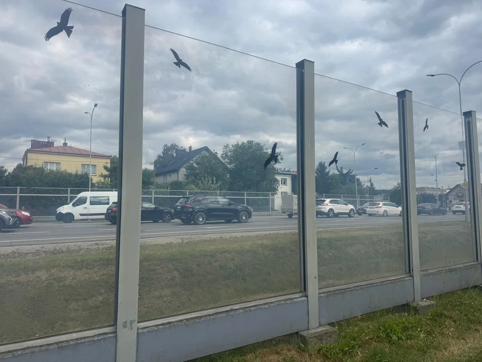Sikorskiego pełna galeria