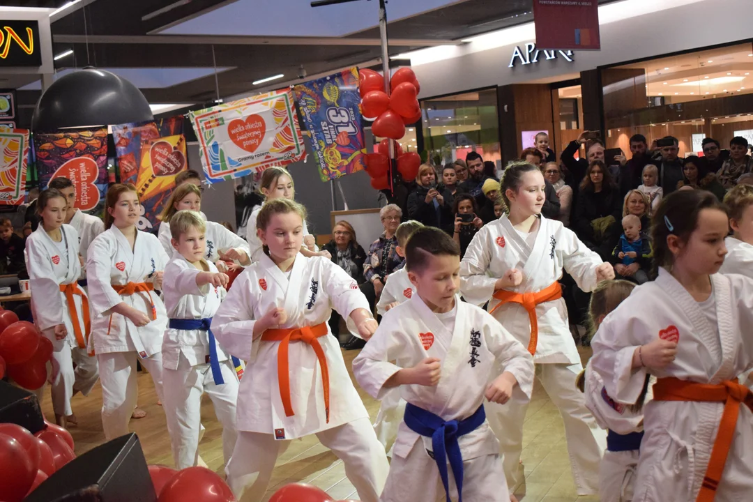 Pokazy grup Mieleckiego Klubu Kyokushin Karate  w Galerii Navigator na 31. Finale Wielkiej Orkiestry Świątecznej Pomocy [ZDJĘCIA, VIDEO] - Zdjęcie główne