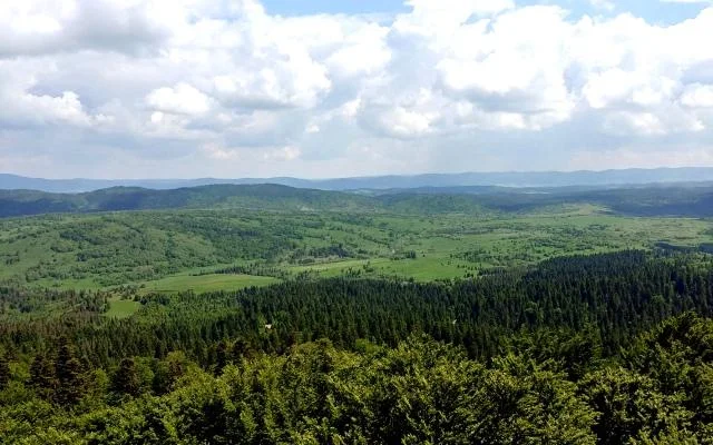 Widok z wieży w Mucznem