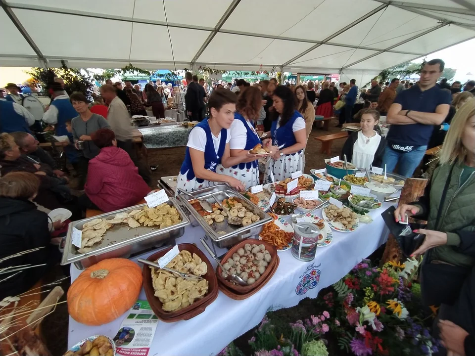 Dzień ziemniaka w Padwi Narodowej