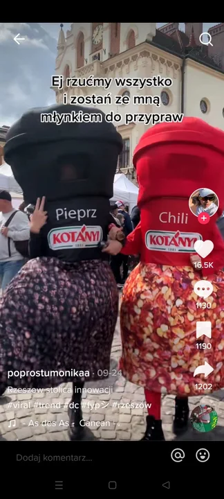 Znajdziecie je pod hasztagiem #Rzeszów w aplikacji TikTok