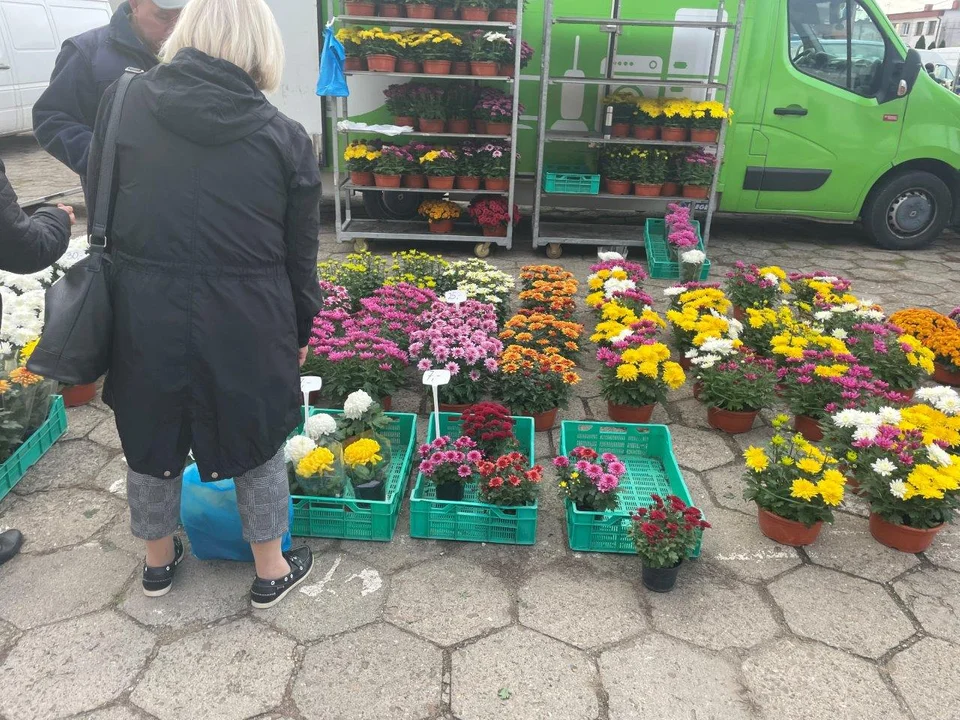 Zielony rynek w Kolbuszowej. Co można było kupić na placu targowym? [ZDJĘCIA] - Zdjęcie główne