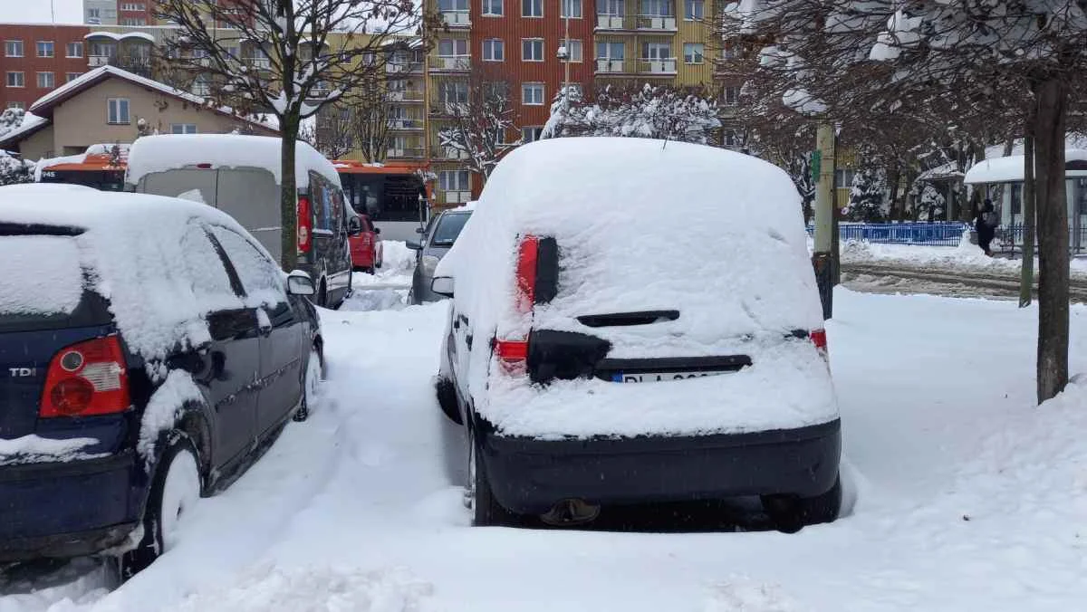 Ośnieżone samochody w Rzeszowie