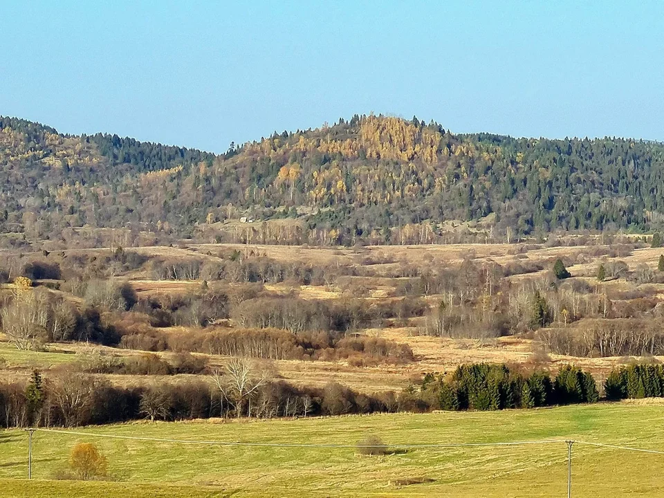 Dźwiniacz Górny. Widok na dolinę