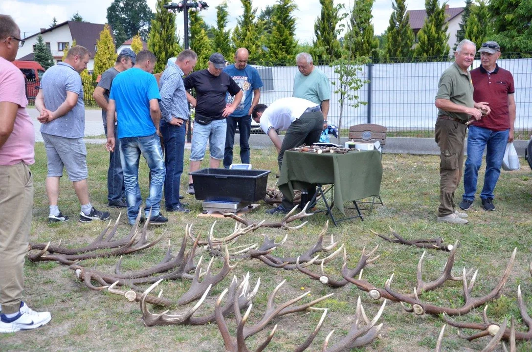 Zlot Kolekcjonerów Poroży w Wilczej Woli 2024