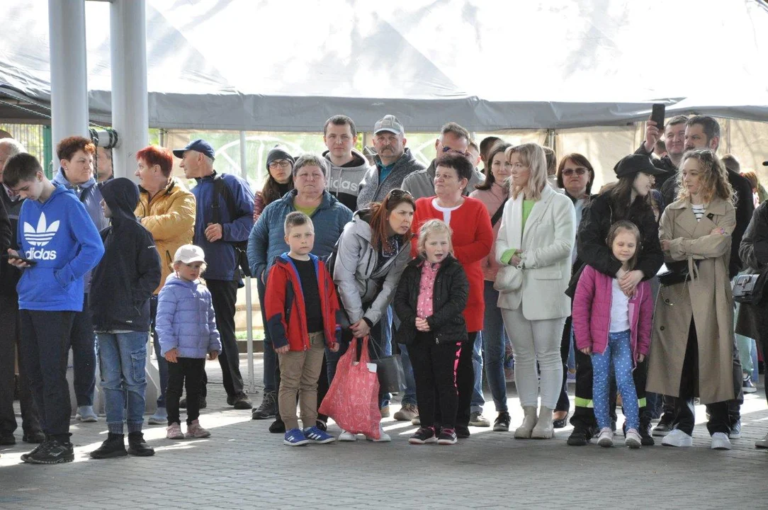 Piknik dla Kubusia w Majdanie Królewskim