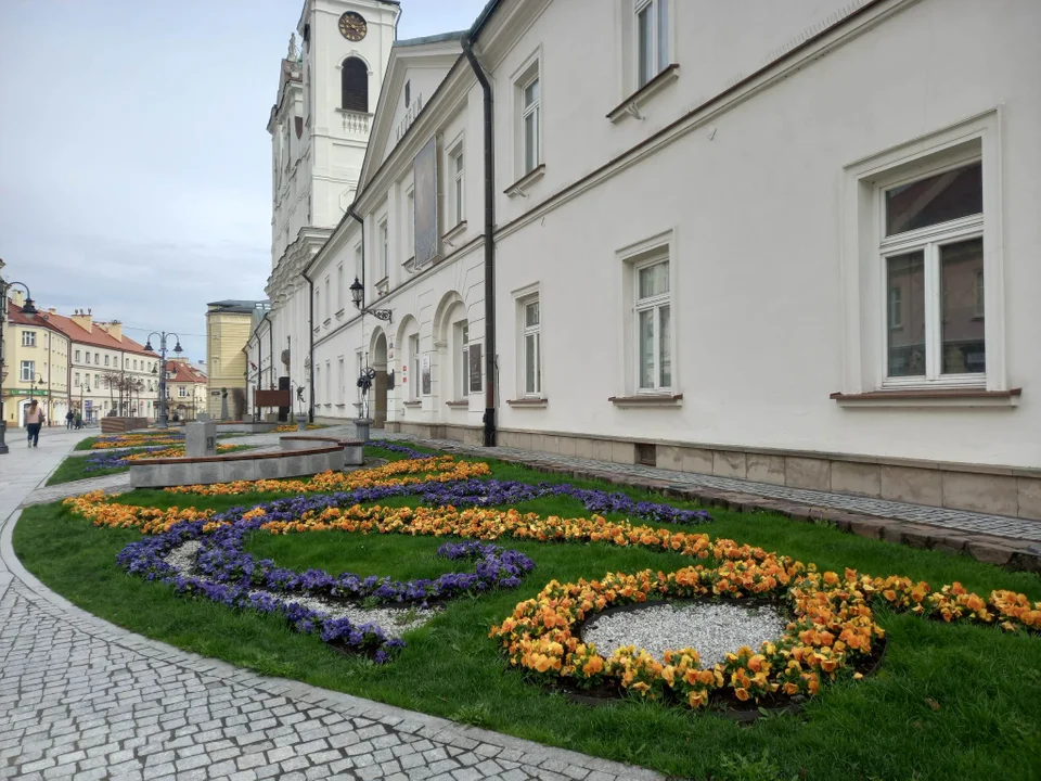 Ulica 3 Maja Rzeszów