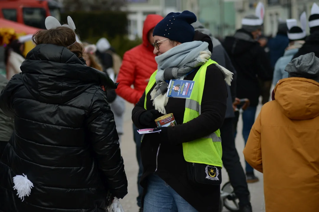 Rekord Polski dla Bartoszka Jędrasika chorego na SMA. W Tarnobrzegu zgromadziło się ponad 500 osób przebranych za króliki