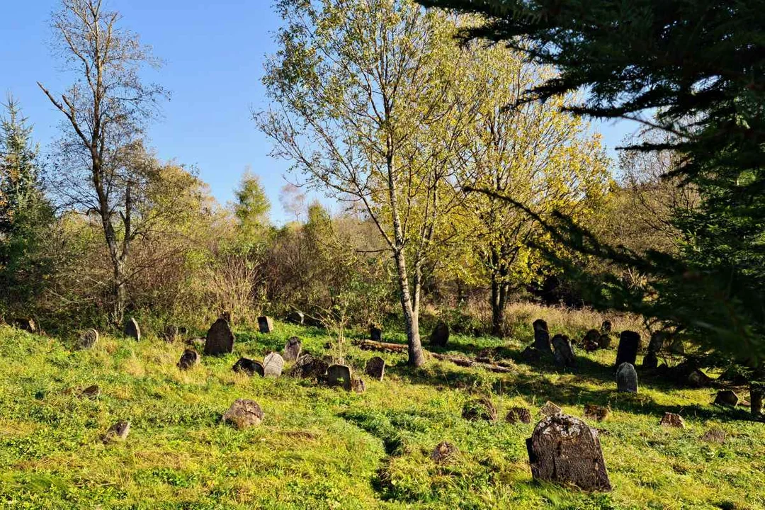 Lutowiska. Cmentarz żydowski