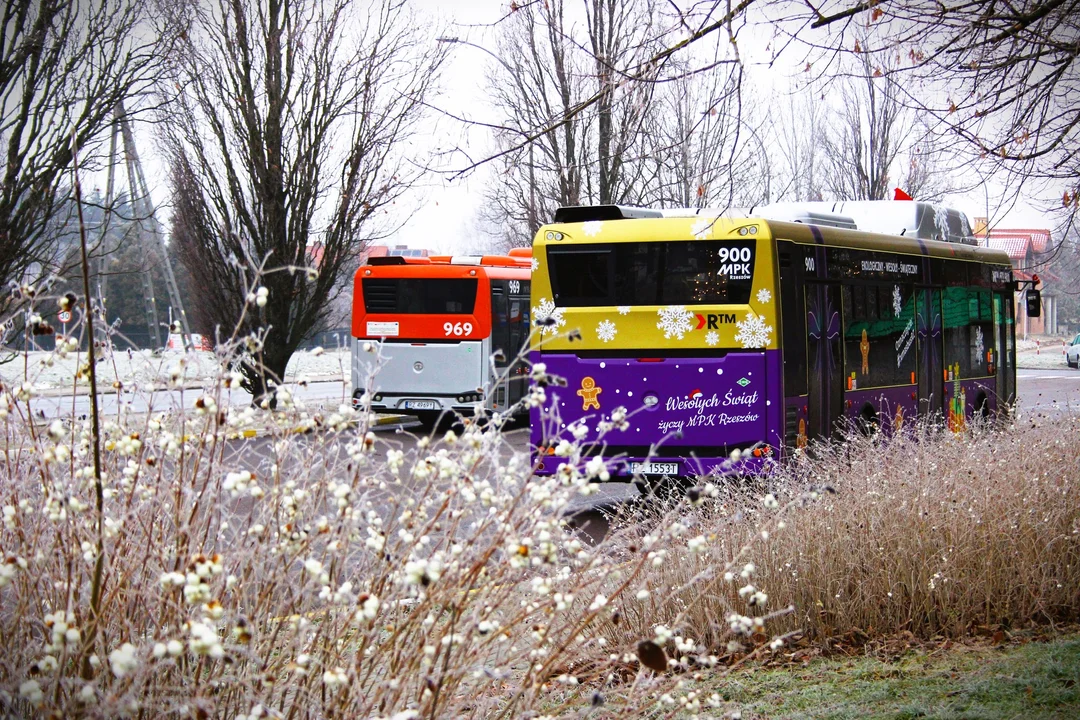 Świąteczny autobus w Rzeszowie