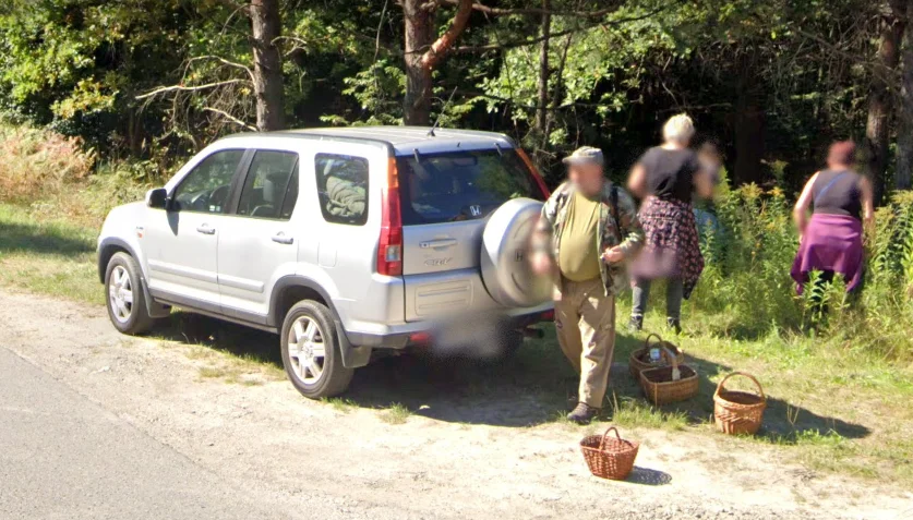 Mieszkańcy Niwisk i Siedlanki na zdjęciach Google Street View