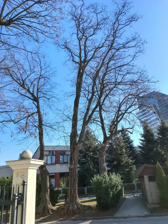 Urząd dba o bezpieczeństwo mieszkańców