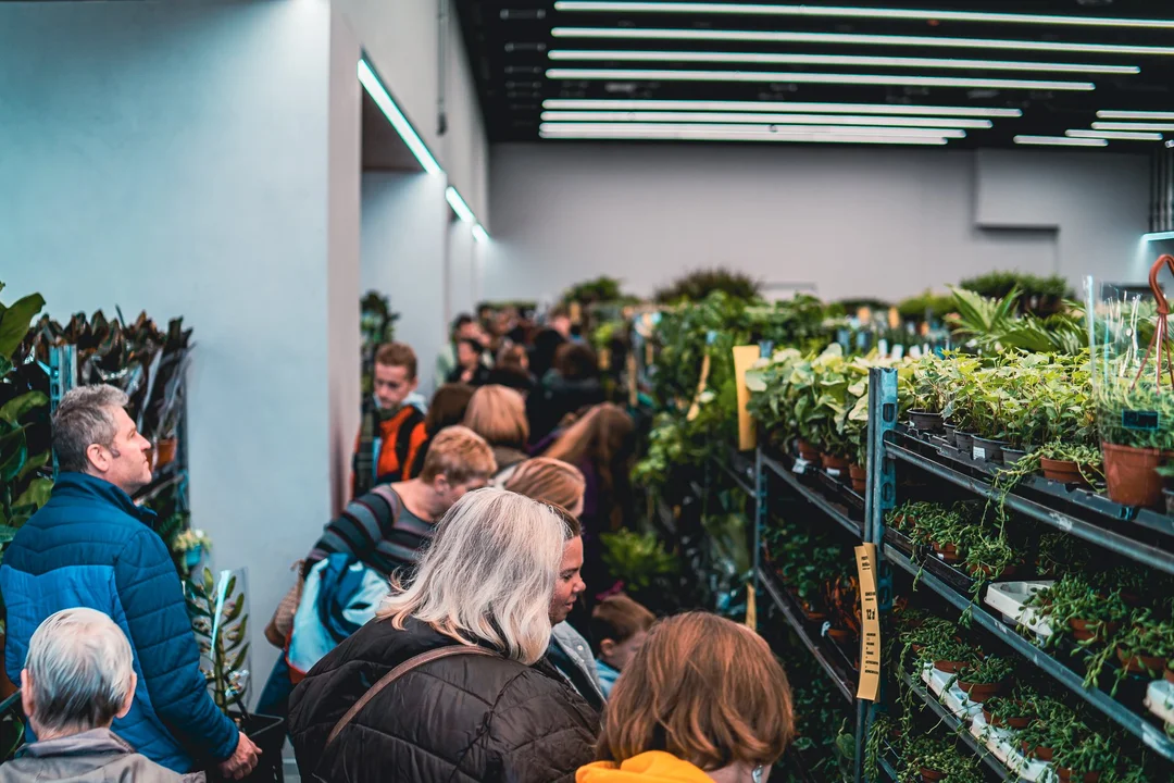 Festiwal Roślin w Rzeszowie. Wielki market 5-6 listopada