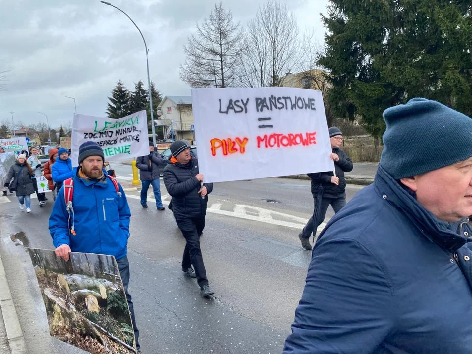 Obrońcy przyrody z Podkarpacia protestują, w lasach między Rymanowem-Zdrój a Iwoniczem-Zdrój trwa wycinka drzew