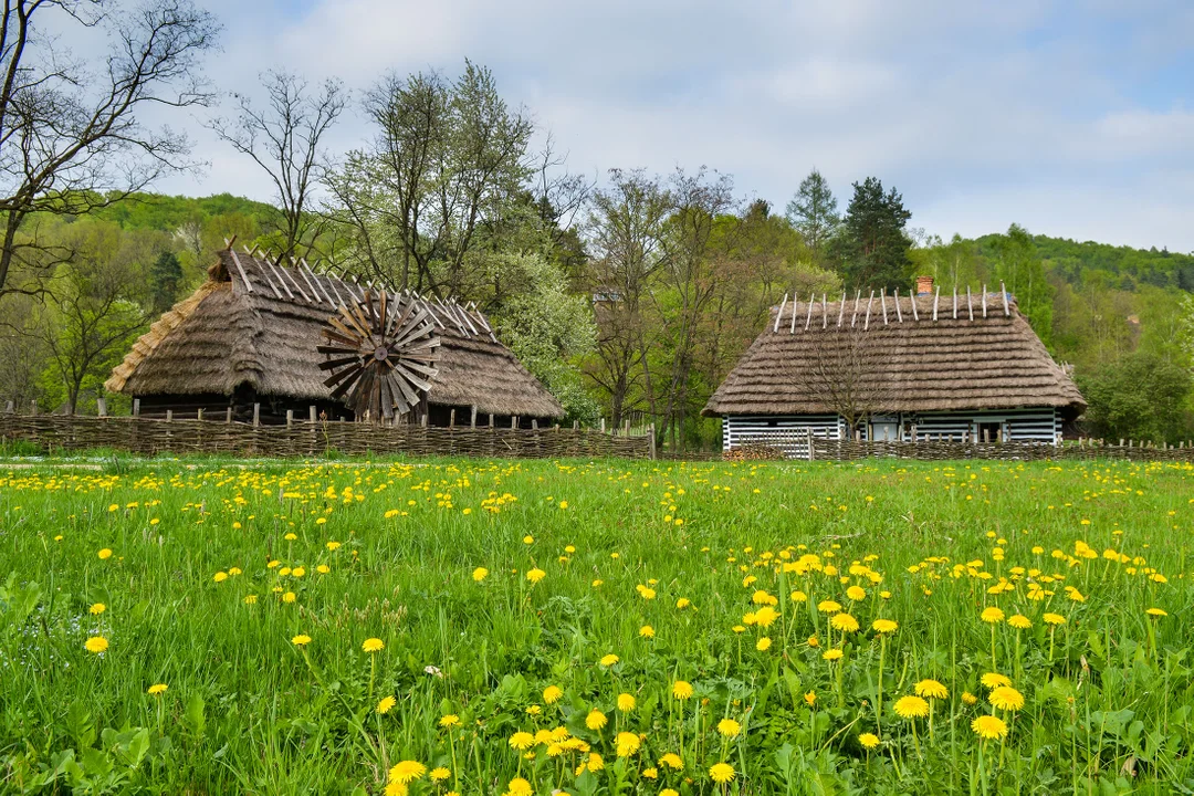 Sanocki skansen wiosną jest wyjątkowo piękny