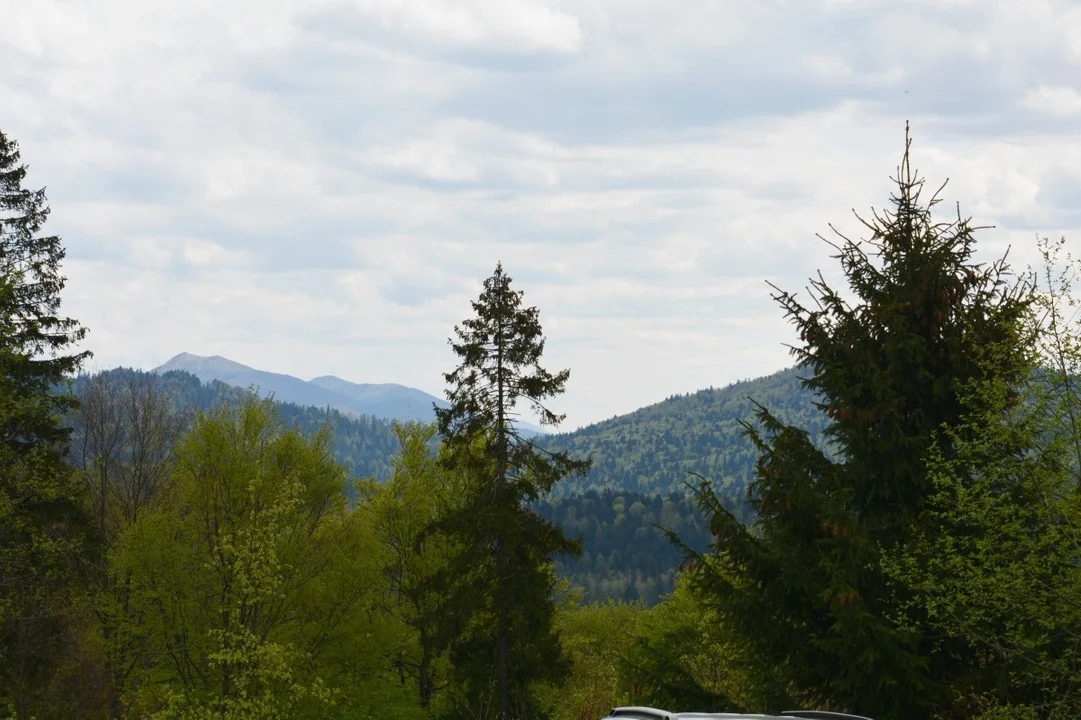 Panorama po pierwszych 2 km "Stary Majdan"