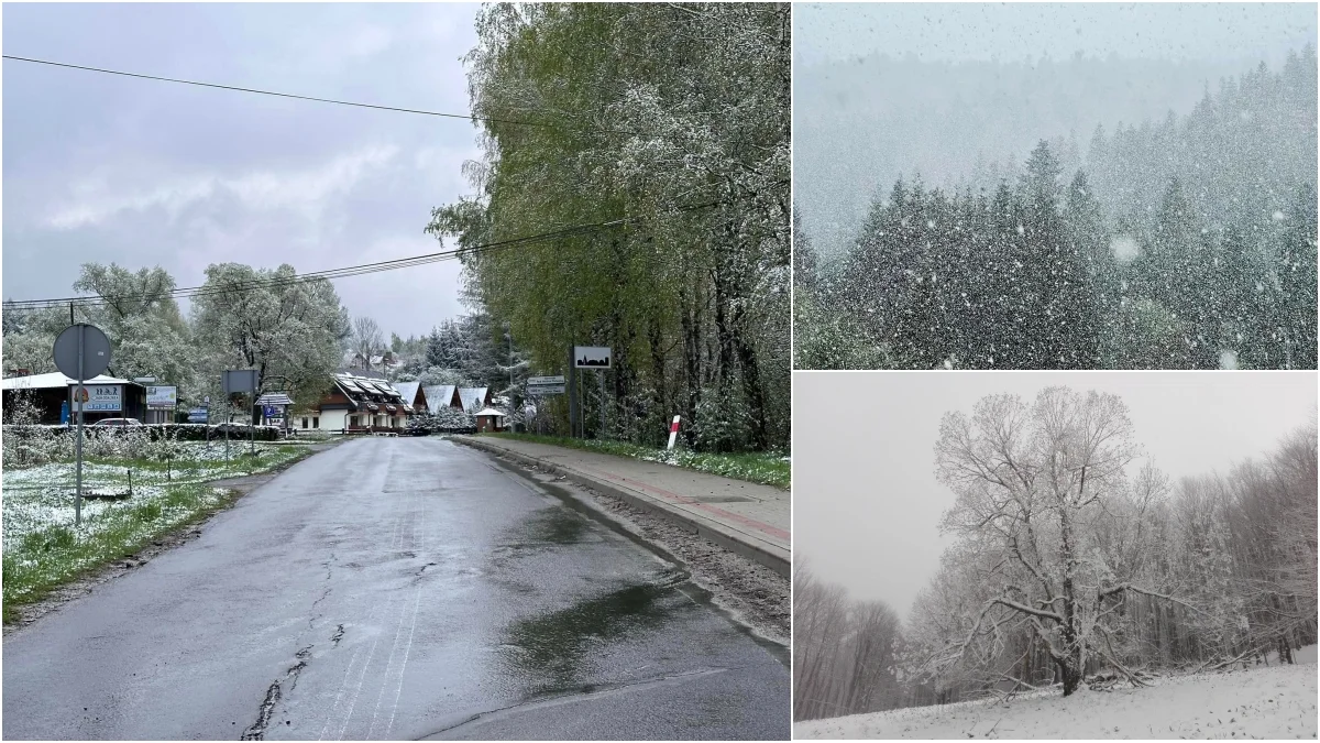 Kwietniowe opady śniegu w Bieszczadach. Kwiecień plecień, bo przeplata... [ZDJĘCIA] - Zdjęcie główne