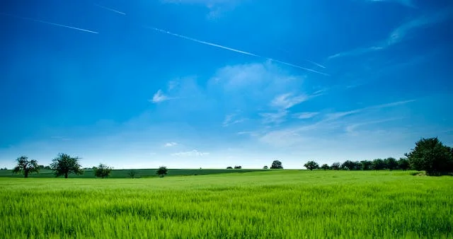 Grunty niezabudowane w Rzeszowie o pow. 0,39 ha (zdjęcie poglądowe)