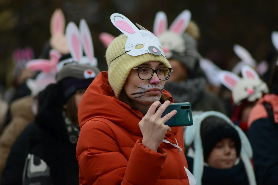 Rekord Polski dla Bartoszka Jędrasika chorego na SMA. W Tarnobrzegu zgromadziło się ponad 500 osób przebranych za króliki