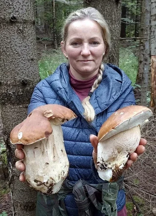 Zdjęcia naszych czytelników. Swoje okazy znaleźli w podkarpackich lasach