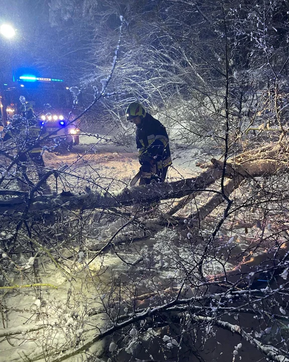 Trudne dni za strażakami z Podkarpacia. Silny wiatr, ciężki śnieg i mnóstwo szkód [ZDJĘCIA]