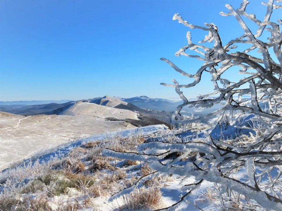 Bieszczady. Widok na Tarnicę z Połoniny Wetlińskiej