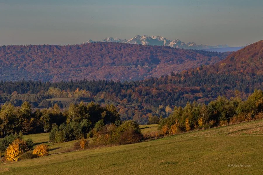 Piękne widoki na Tatry i Karpaty po stronie ukraińskiej. Zobaczcie zdjęcia