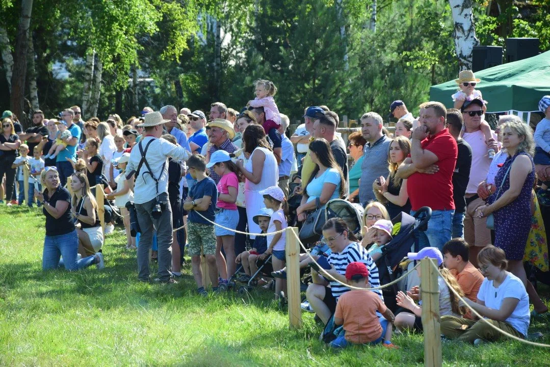 Tak bawili się mieszkańcy powiatu kolbuszowskiego