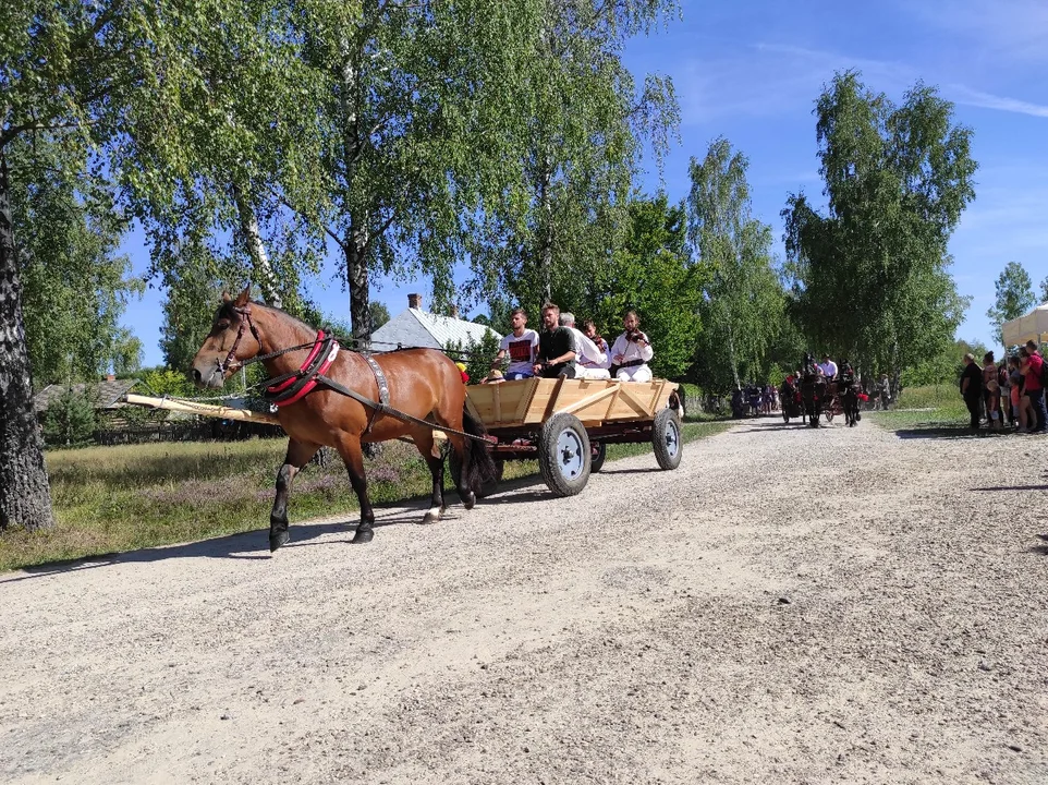 Tłumy w Skansenie w Kolbuszowej