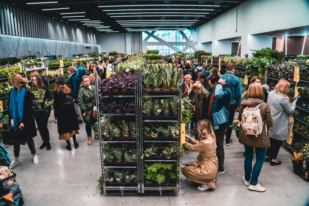 Festiwal Roślin w Rzeszowie. Wielki market 5-6 listopada